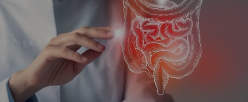 Image hover effect image